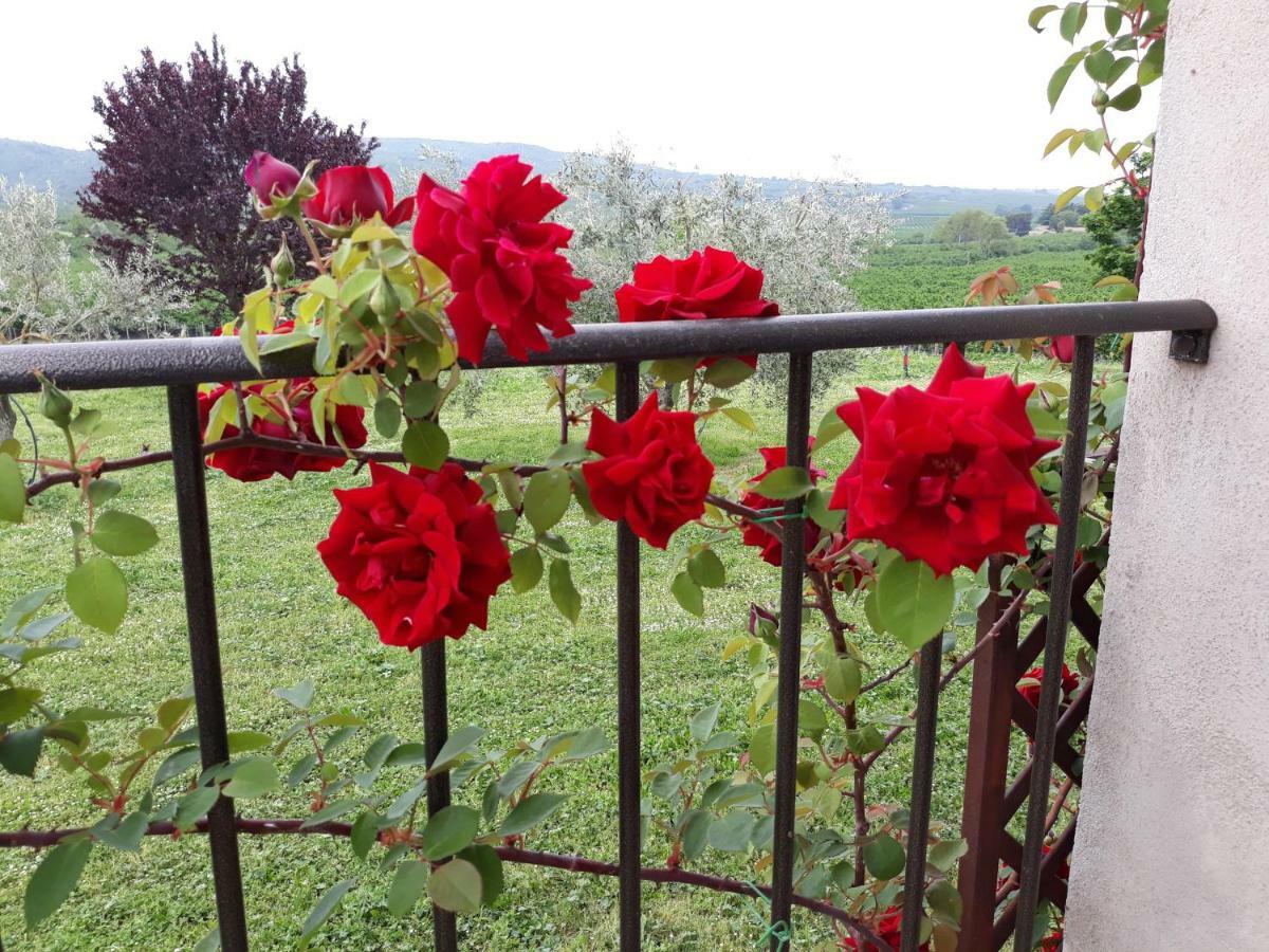 Bed and Breakfast L'Orto Sul Poggio à Sutri Extérieur photo